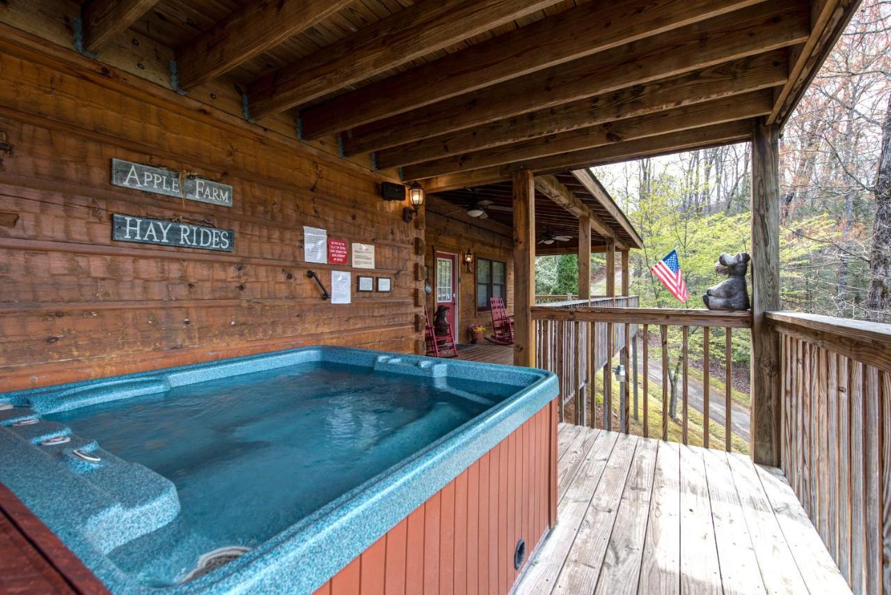 פיג'ן פורג' Lazy Cub Lodge מראה חיצוני תמונה